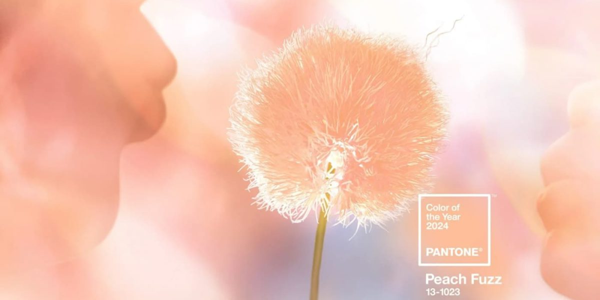 SIKO_Barva roku 2024 peach fuzz jak ji představuje pantone, inspirace růžovými tóny broskvové