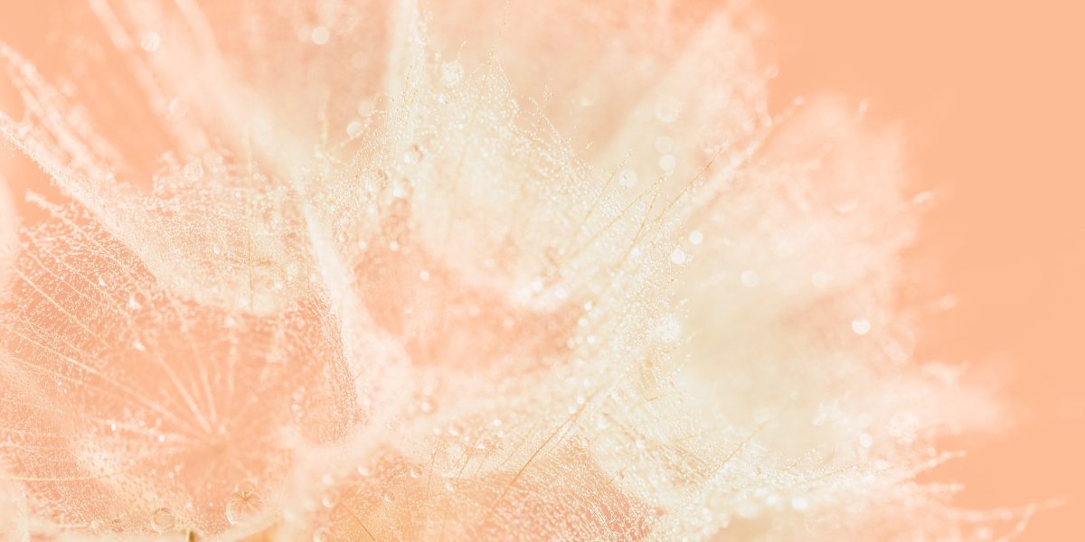 SIKO_Barva roku 2024 peach fuzz, růžová broskvová hřejivá barva